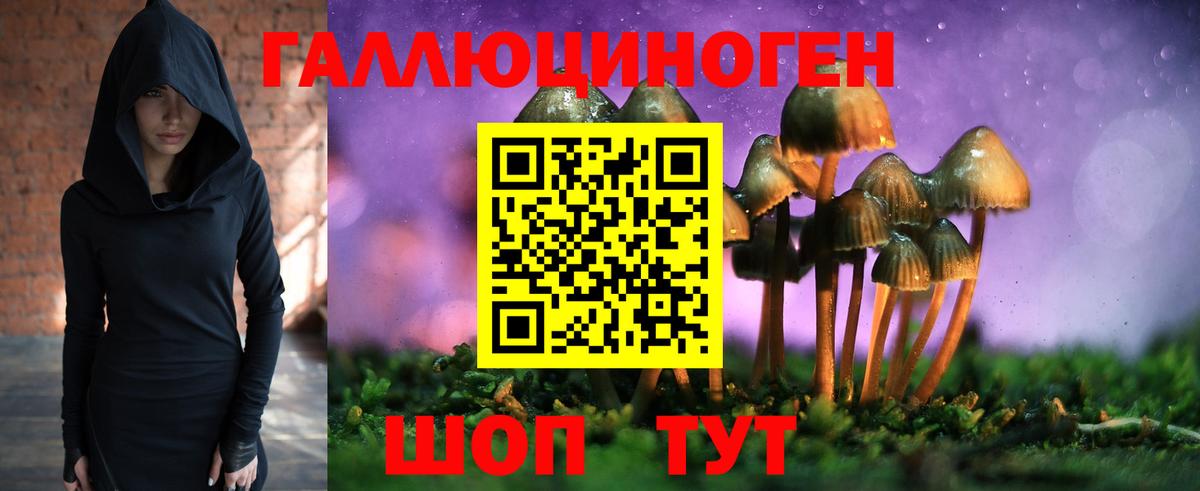 Набережные Челны  Галлюциногенные грибы прущие грибы  Вход с VPN 
